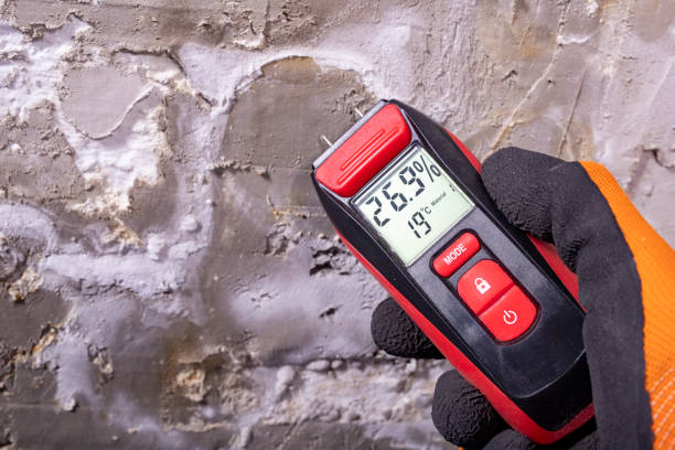 Best Office Mold Removal Services  in Oakdale, LA